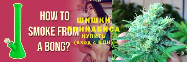 ГАЛЛЮЦИНОГЕННЫЕ ГРИБЫ Балахна