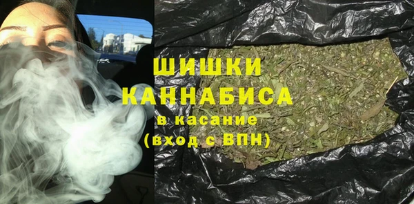 ПСИЛОЦИБИНОВЫЕ ГРИБЫ Балабаново