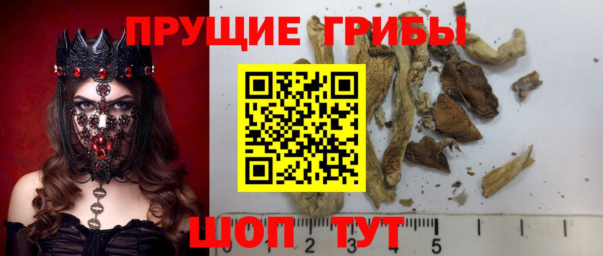 Галлюциногенные грибы GOLDEN TEACHER Великий Устюг